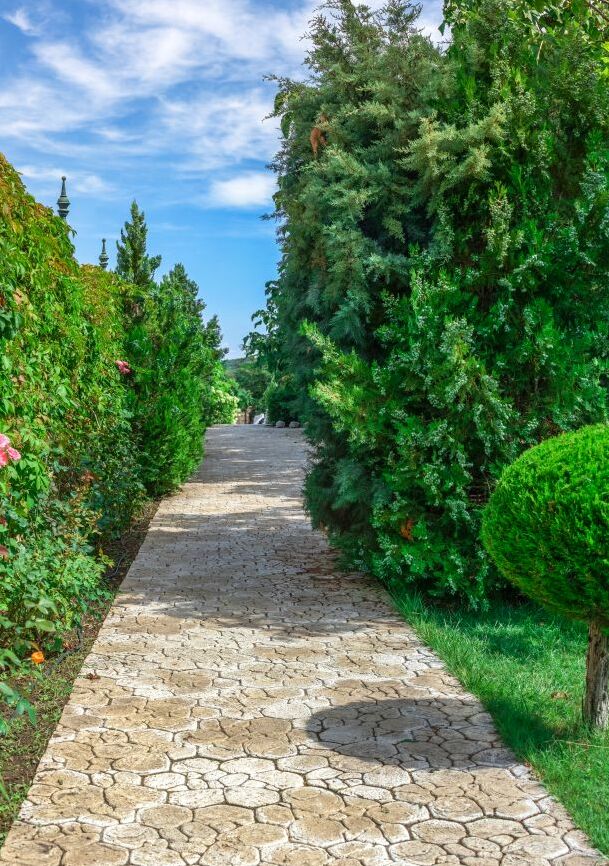 Картина на холсте аллея в парке, арт hd0925301